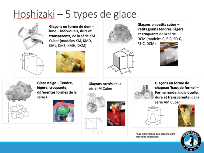 Comment Choisir Sa Glaçons